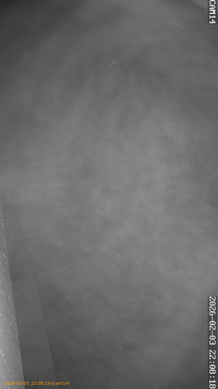 thumbnail_20260203220819