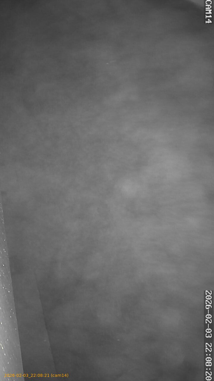 thumbnail_20260203220821