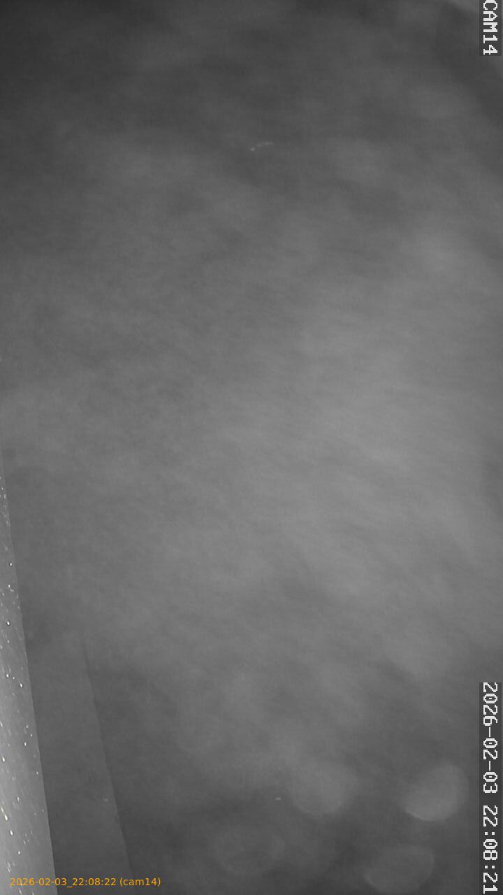 thumbnail_20260203220822