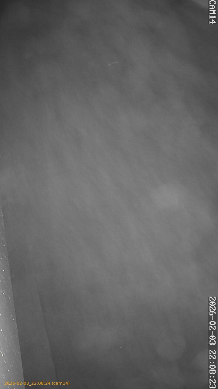 thumbnail_20260203220824