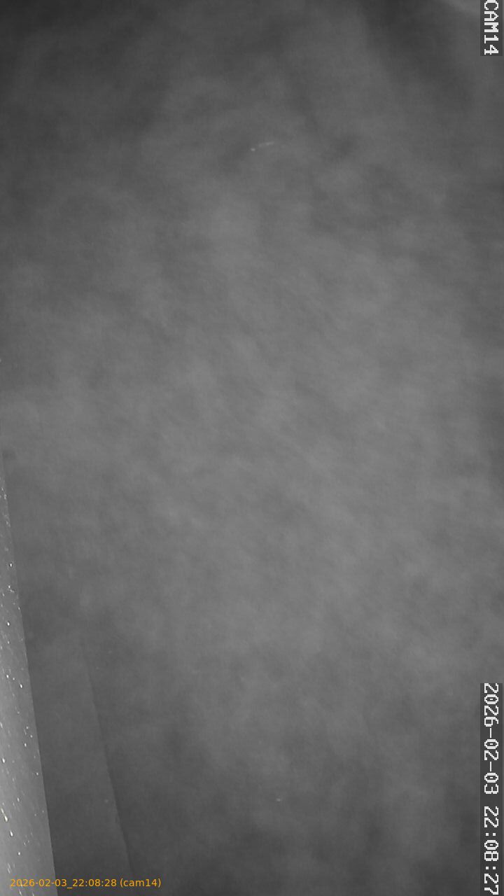 thumbnail_20260203220828