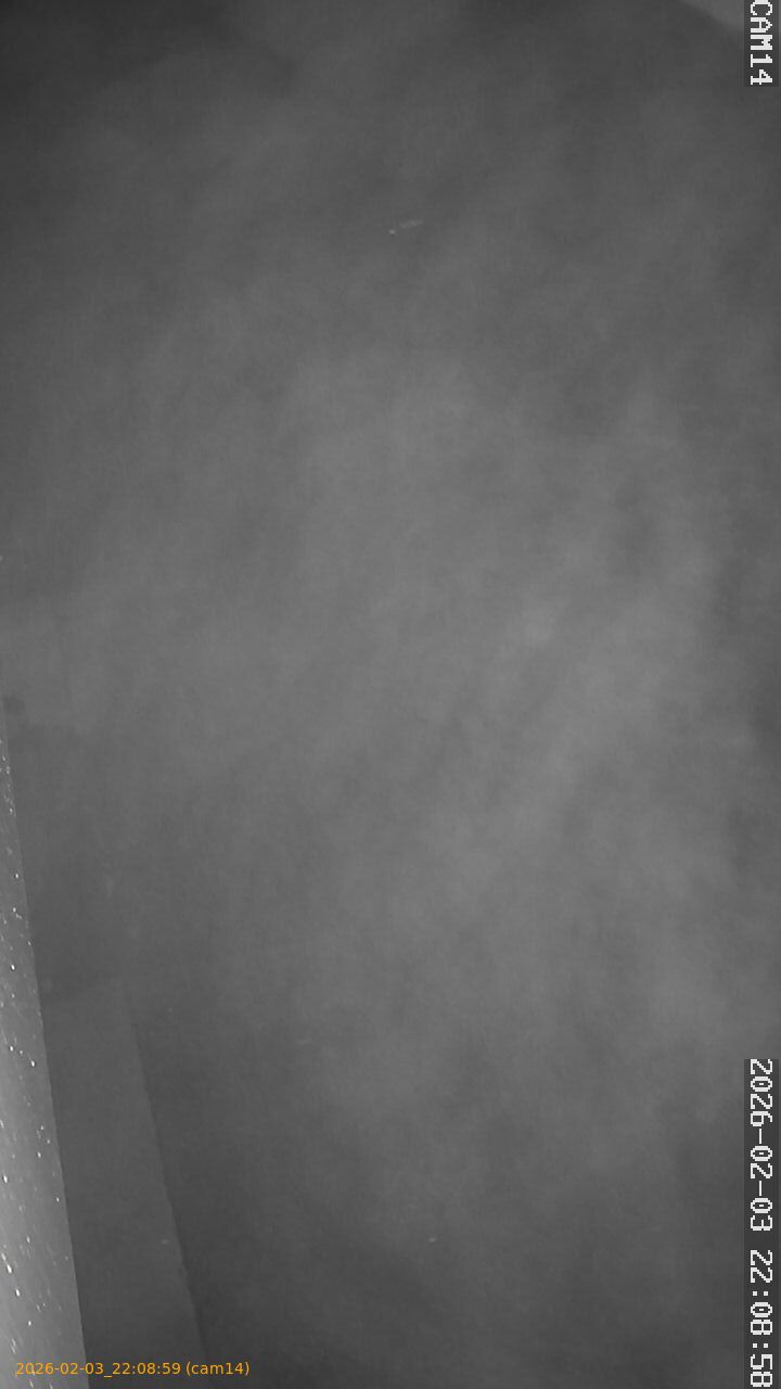 thumbnail_20260203220859