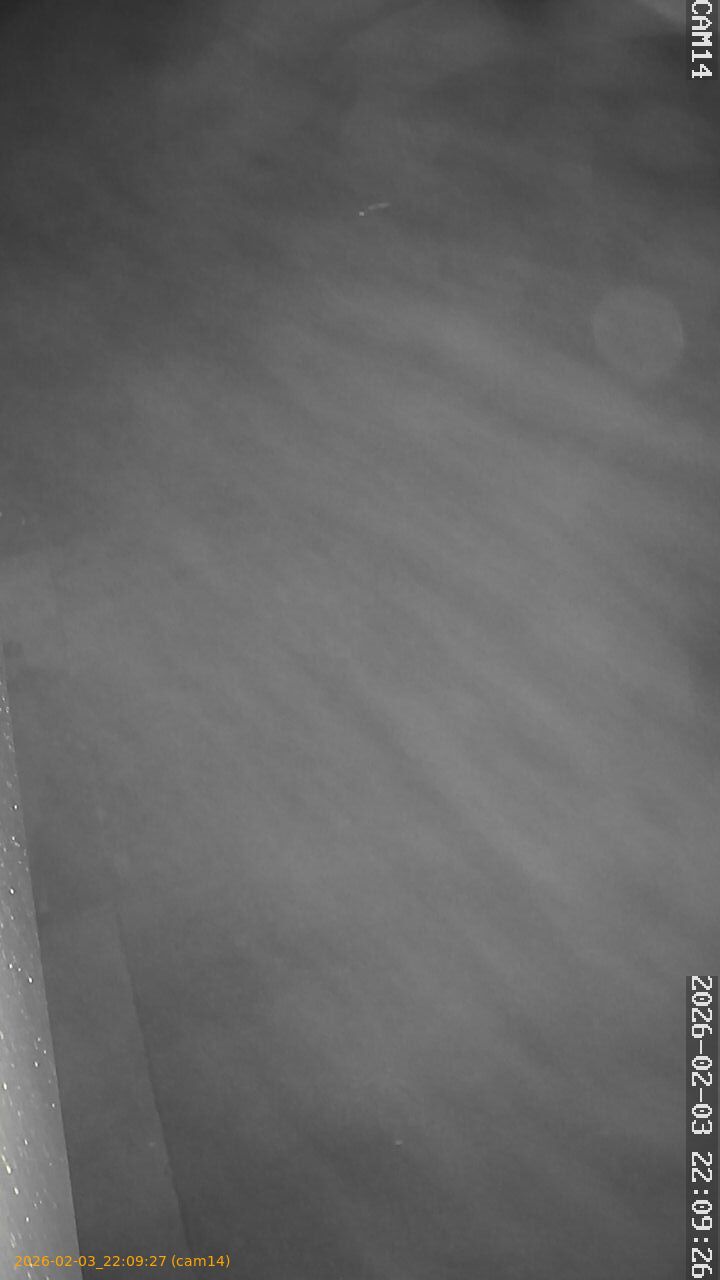 thumbnail_20260203220927