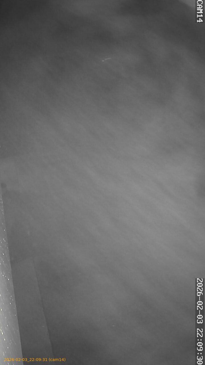 thumbnail_20260203220931