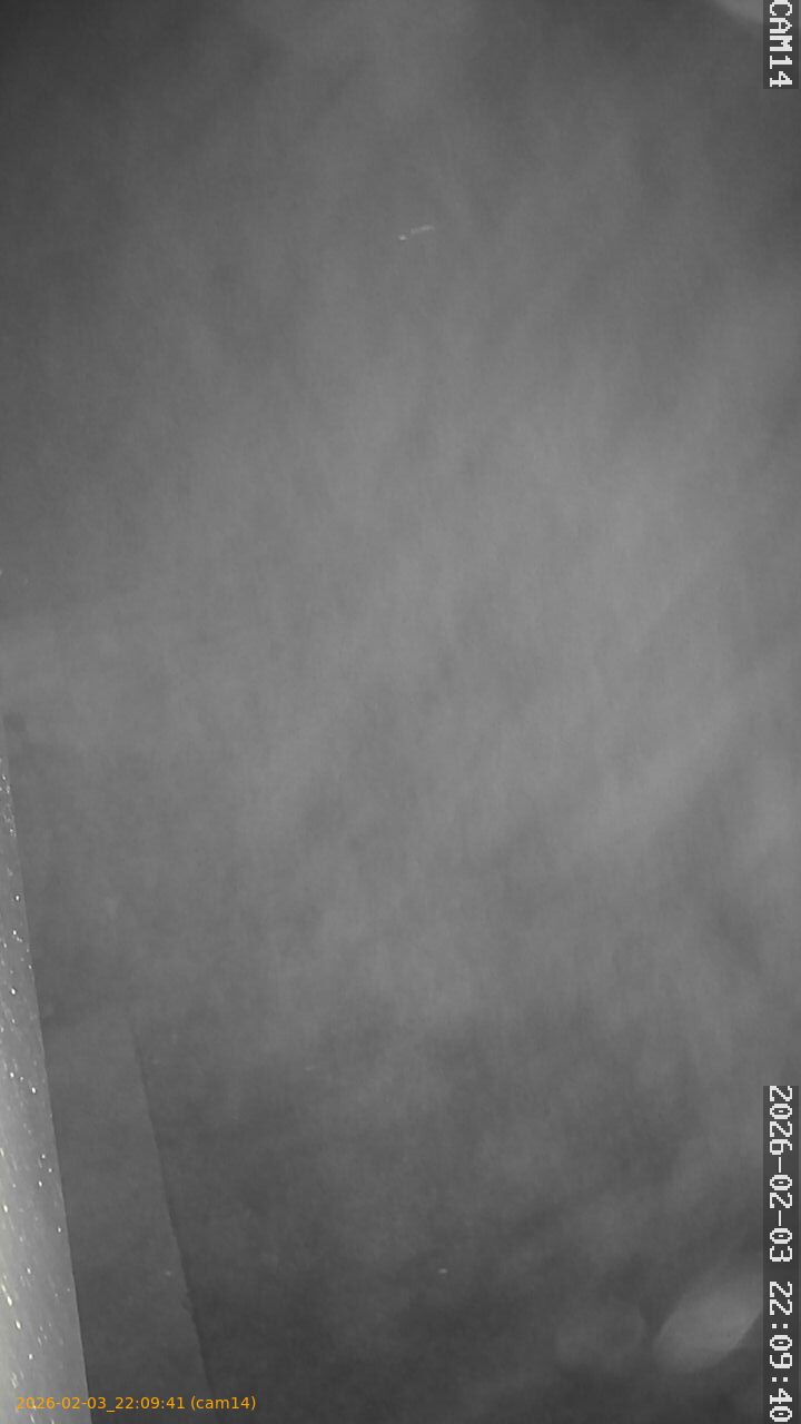 thumbnail_20260203220941