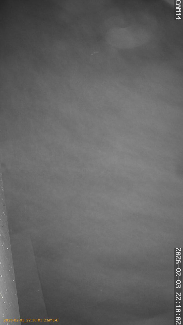 thumbnail_20260203221003