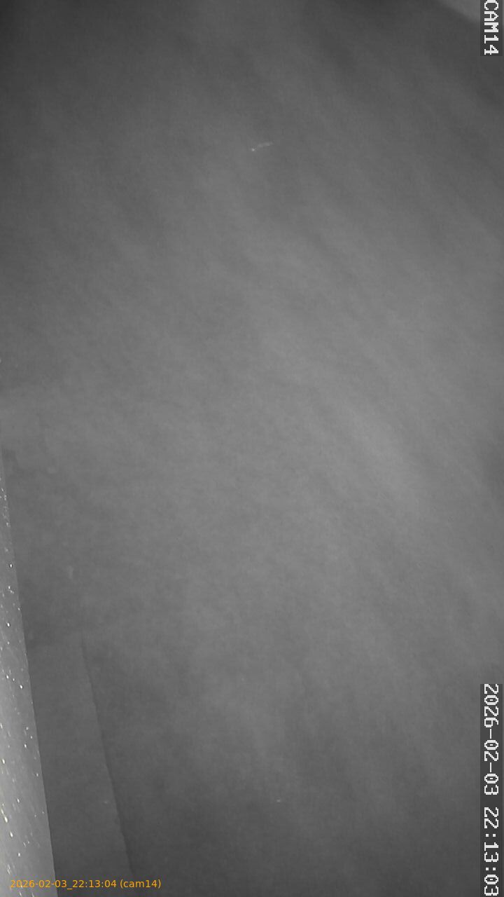 thumbnail_20260203221304