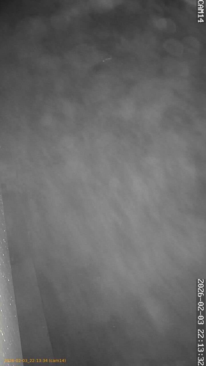 thumbnail_20260203221333