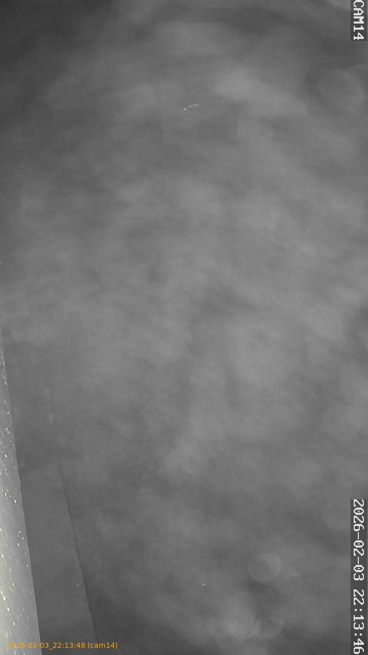 thumbnail_20260203221348