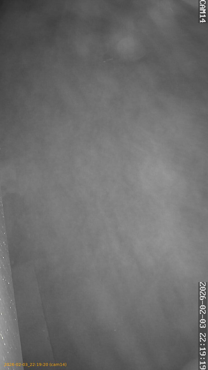 thumbnail_20260203221920