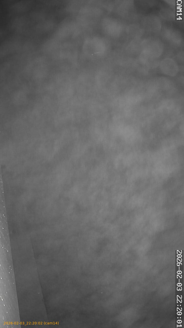 thumbnail_20260203222002