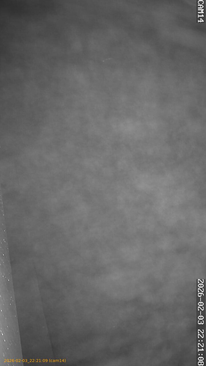 thumbnail_20260203222109