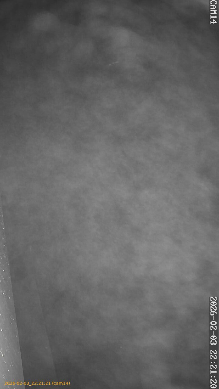 thumbnail_20260203222121