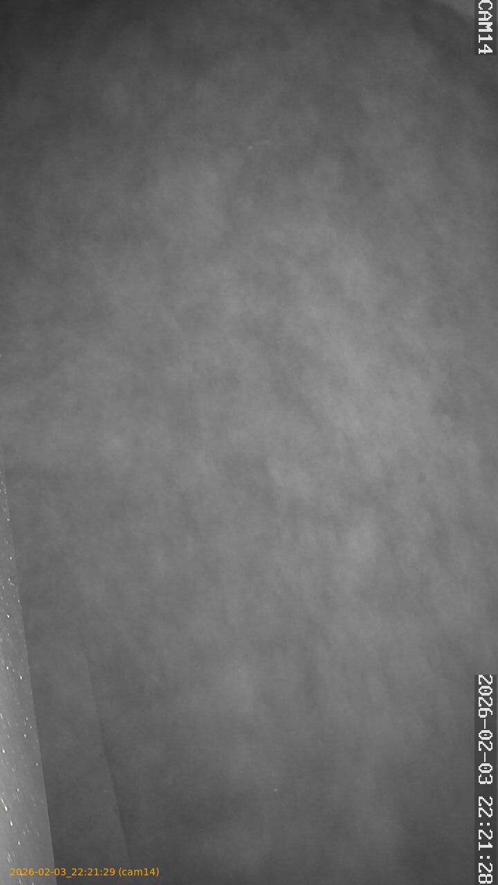 thumbnail_20260203222129