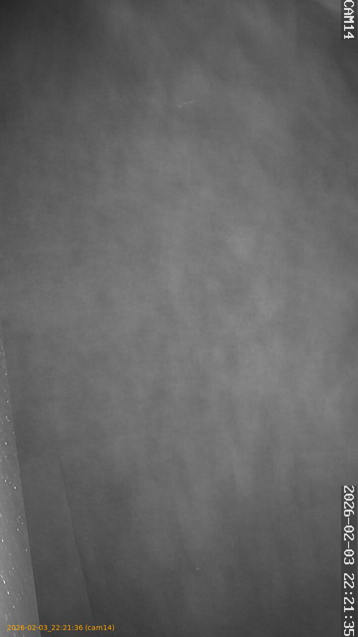 thumbnail_20260203222136