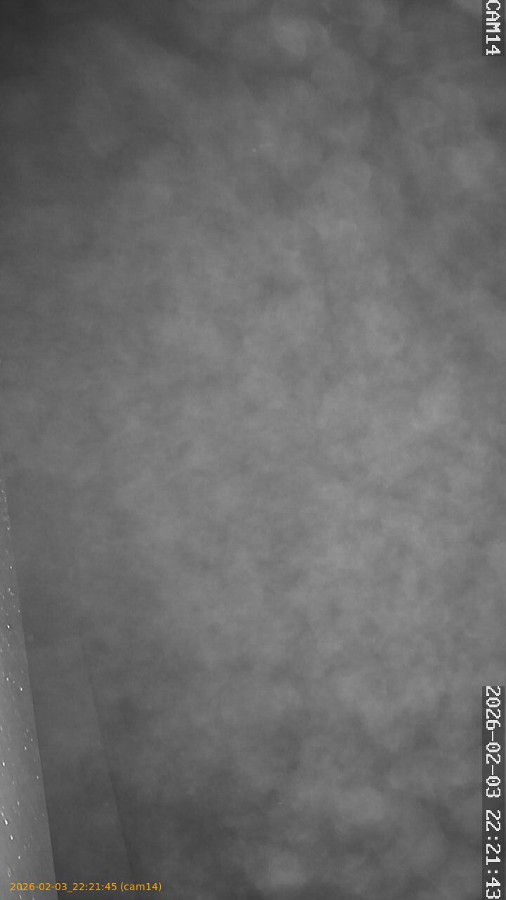 thumbnail_20260203222145