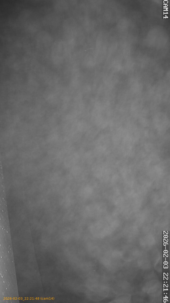 thumbnail_20260203222148