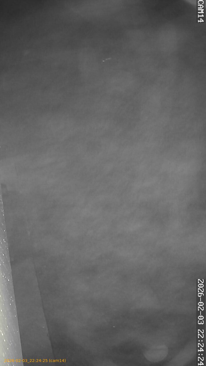 thumbnail_20260203222425