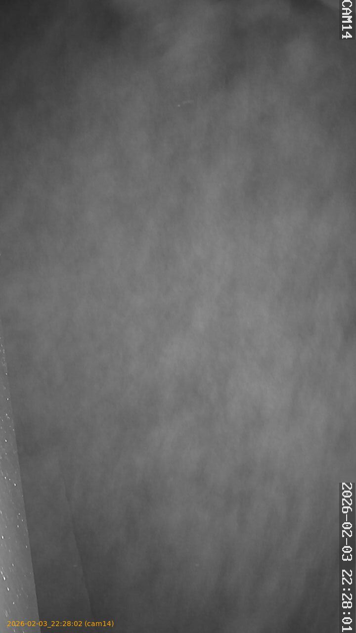 thumbnail_20260203222802