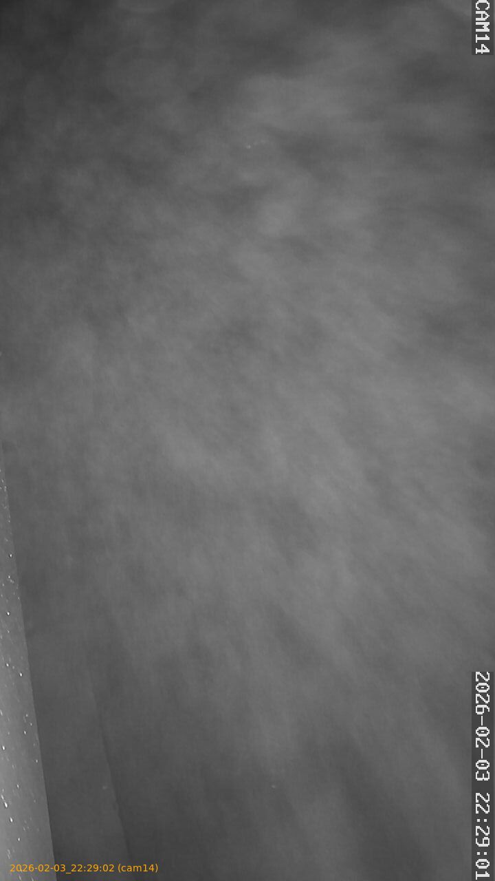 thumbnail_20260203222902