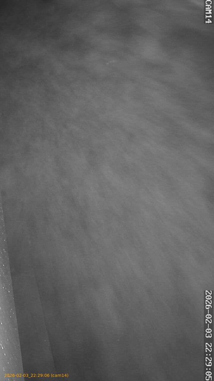 thumbnail_20260203222906