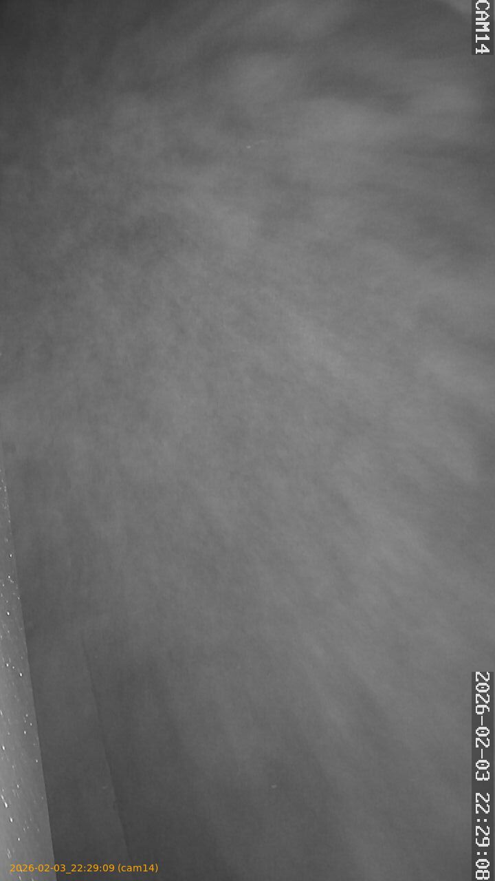 thumbnail_20260203222909