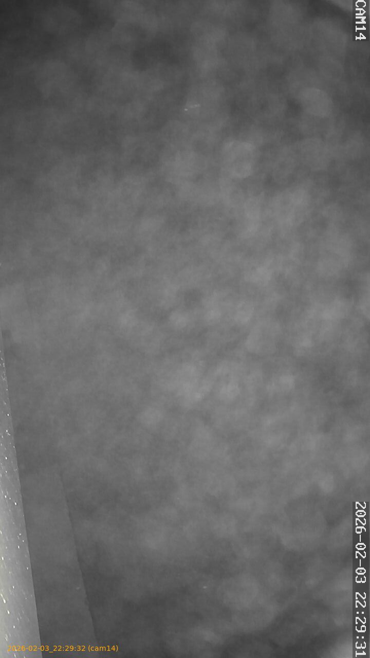 thumbnail_20260203222932