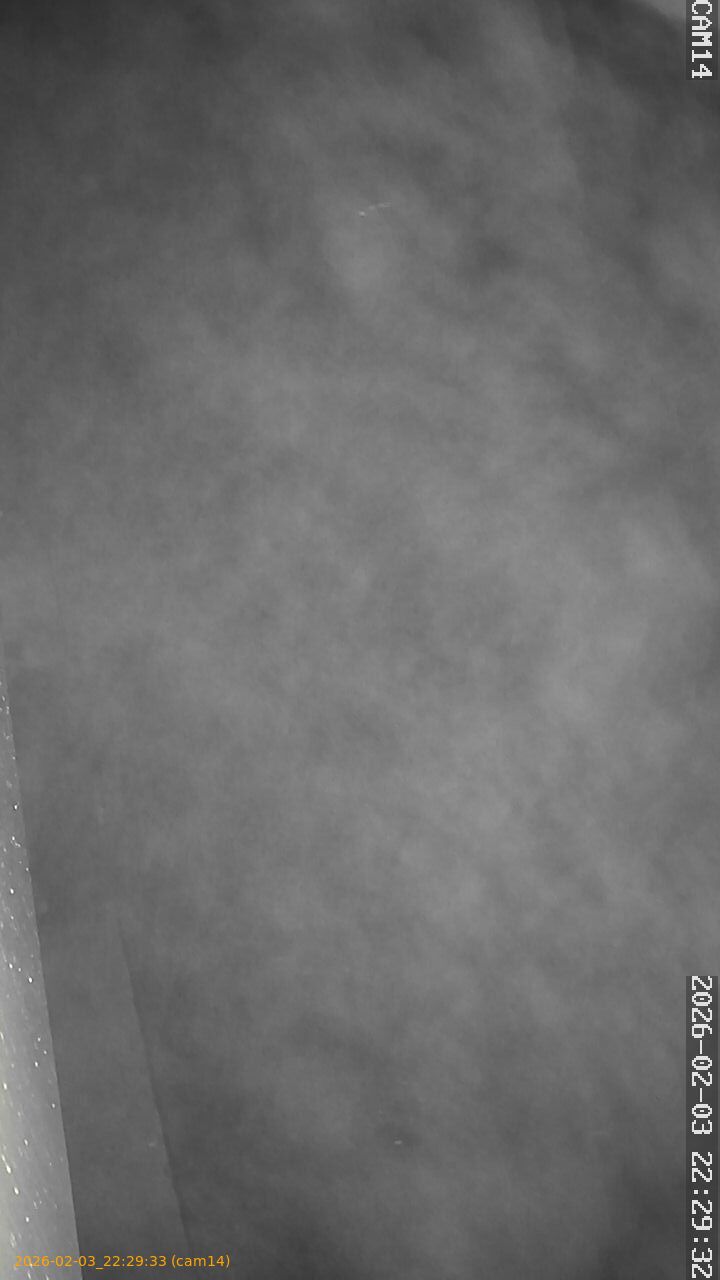 thumbnail_20260203222933