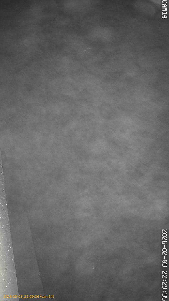 thumbnail_20260203222936