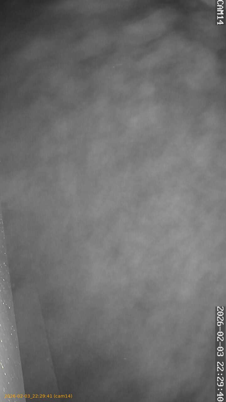 thumbnail_20260203222941