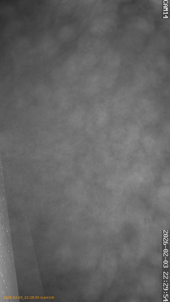 thumbnail_20260203222955