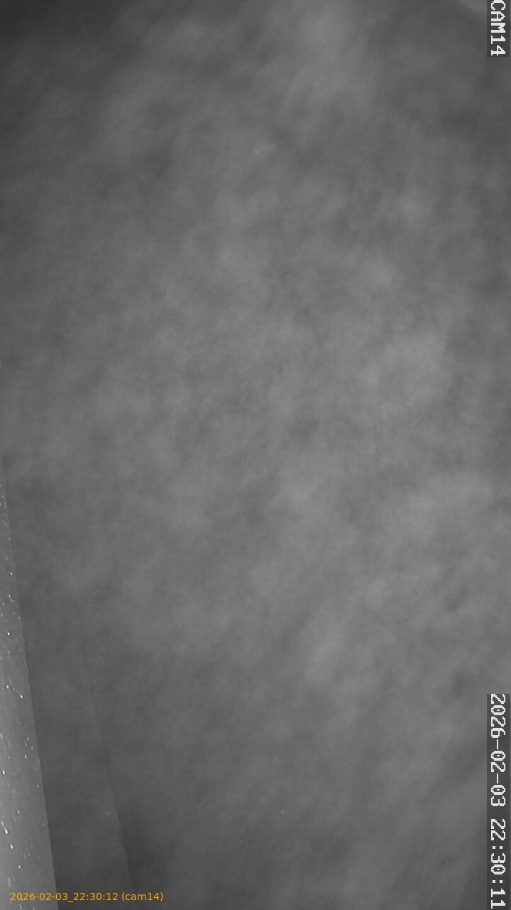 thumbnail_20260203223012