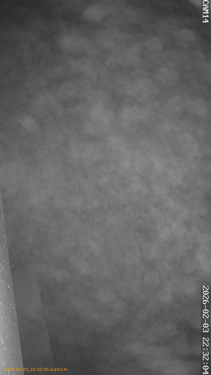 thumbnail_20260203223205