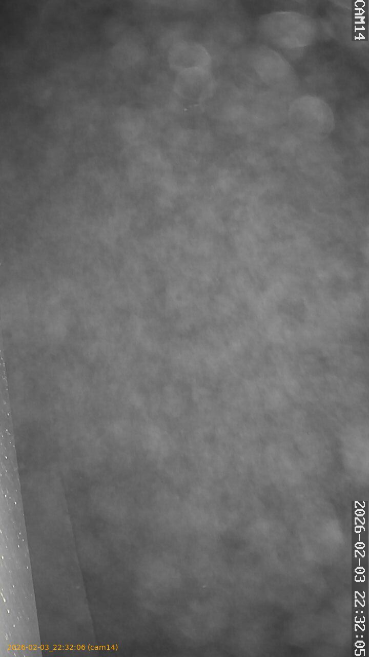 thumbnail_20260203223206