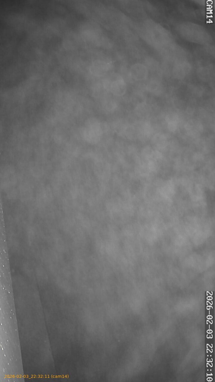 thumbnail_20260203223211