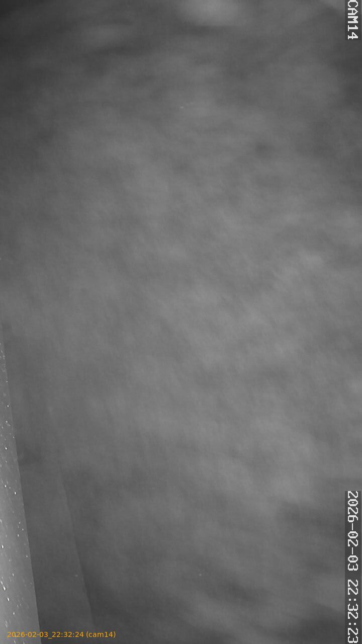 thumbnail_20260203223224