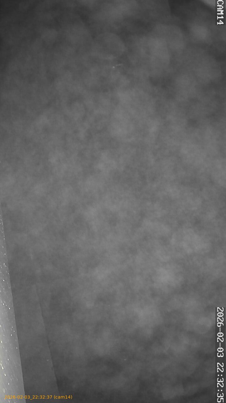 thumbnail_20260203223236