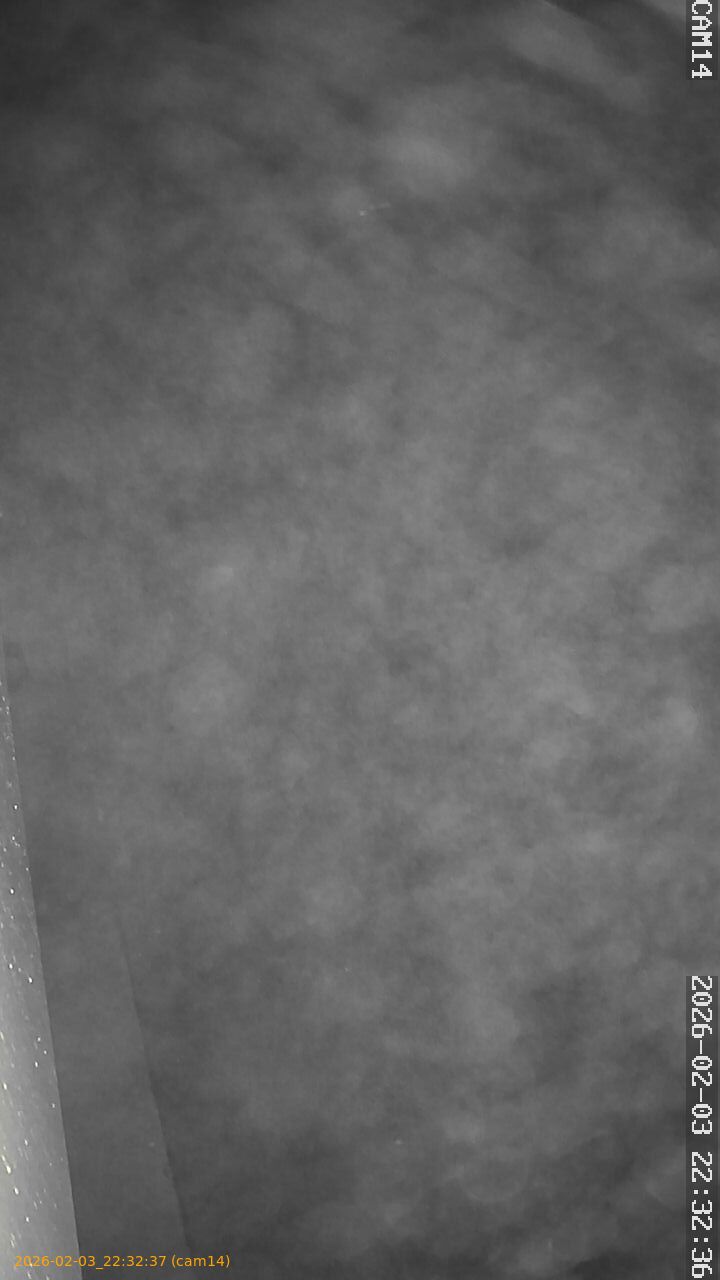 thumbnail_20260203223237