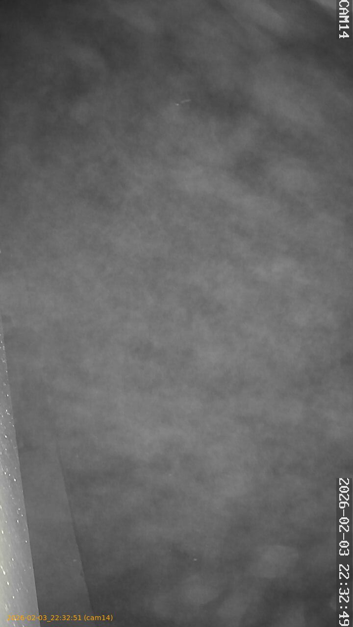 thumbnail_20260203223251