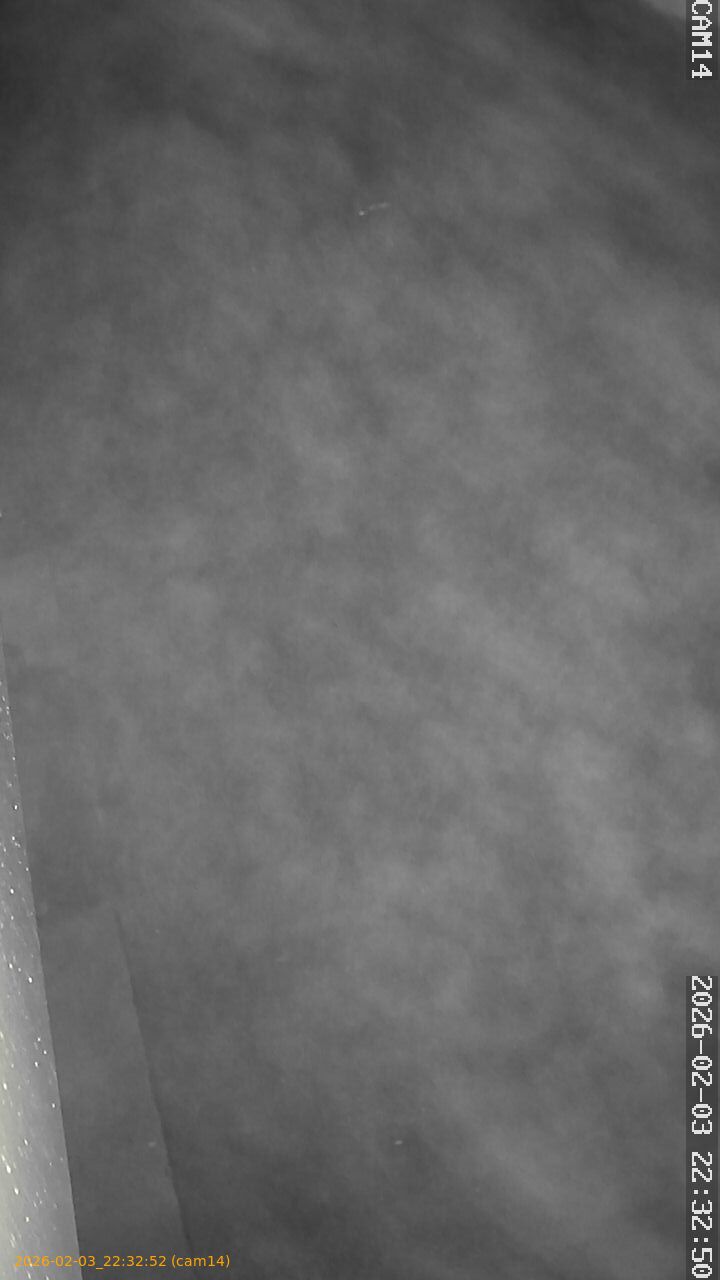 thumbnail_20260203223252