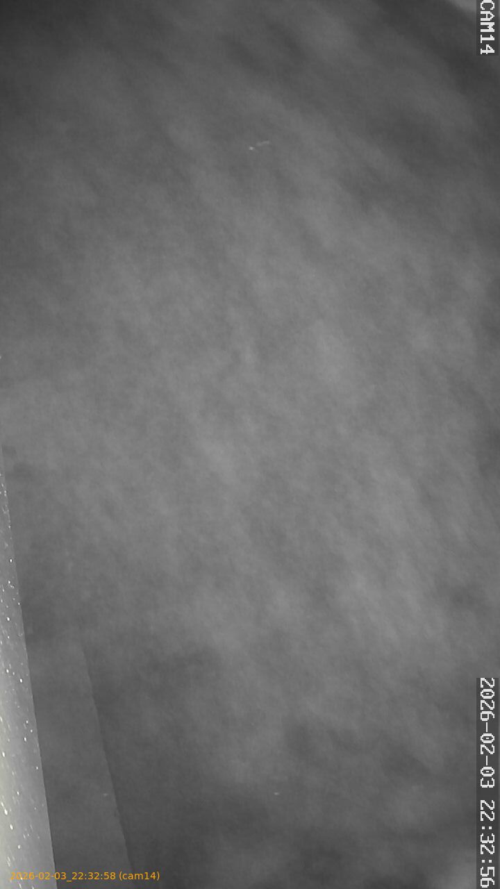 thumbnail_20260203223258