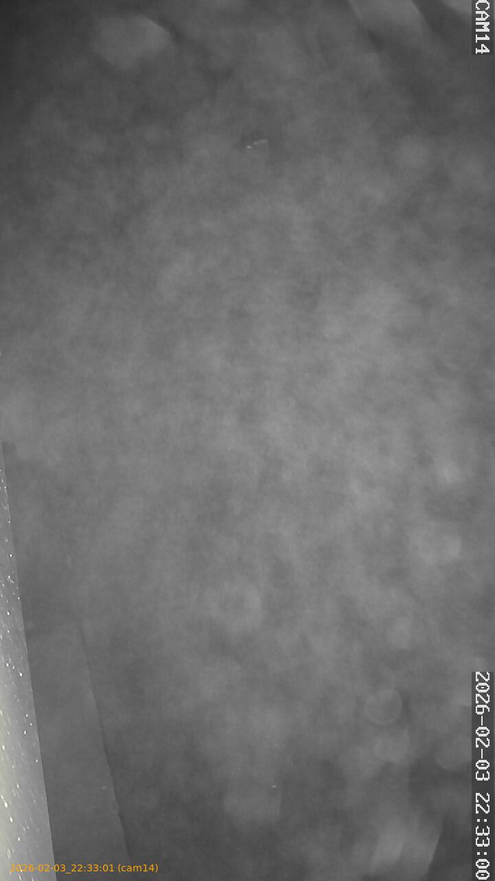 thumbnail_20260203223301