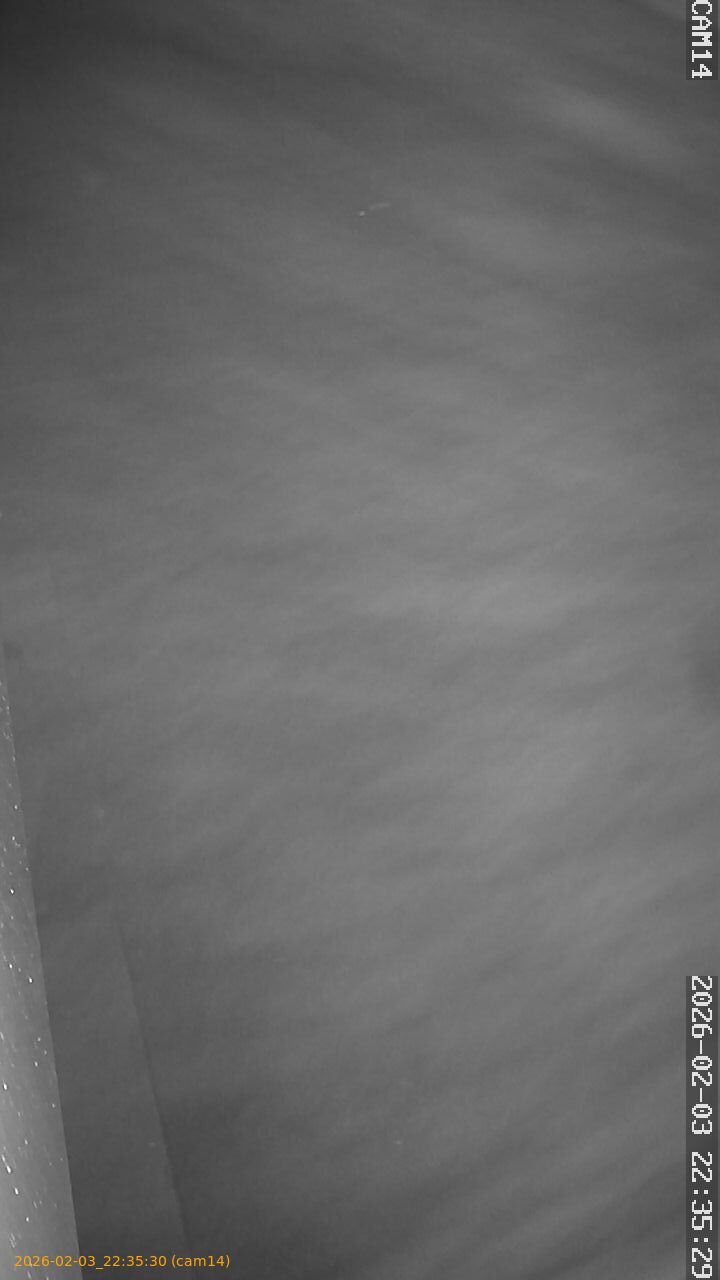 thumbnail_20260203223530