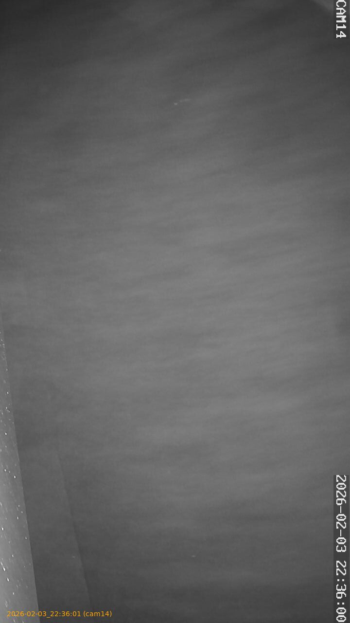 thumbnail_20260203223601