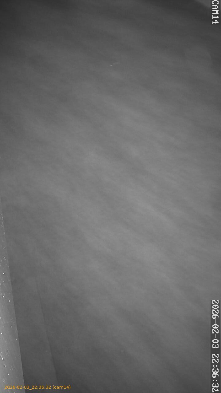 thumbnail_20260203223632