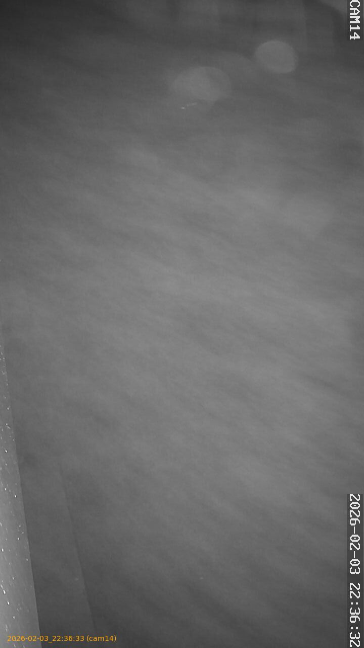 thumbnail_20260203223633