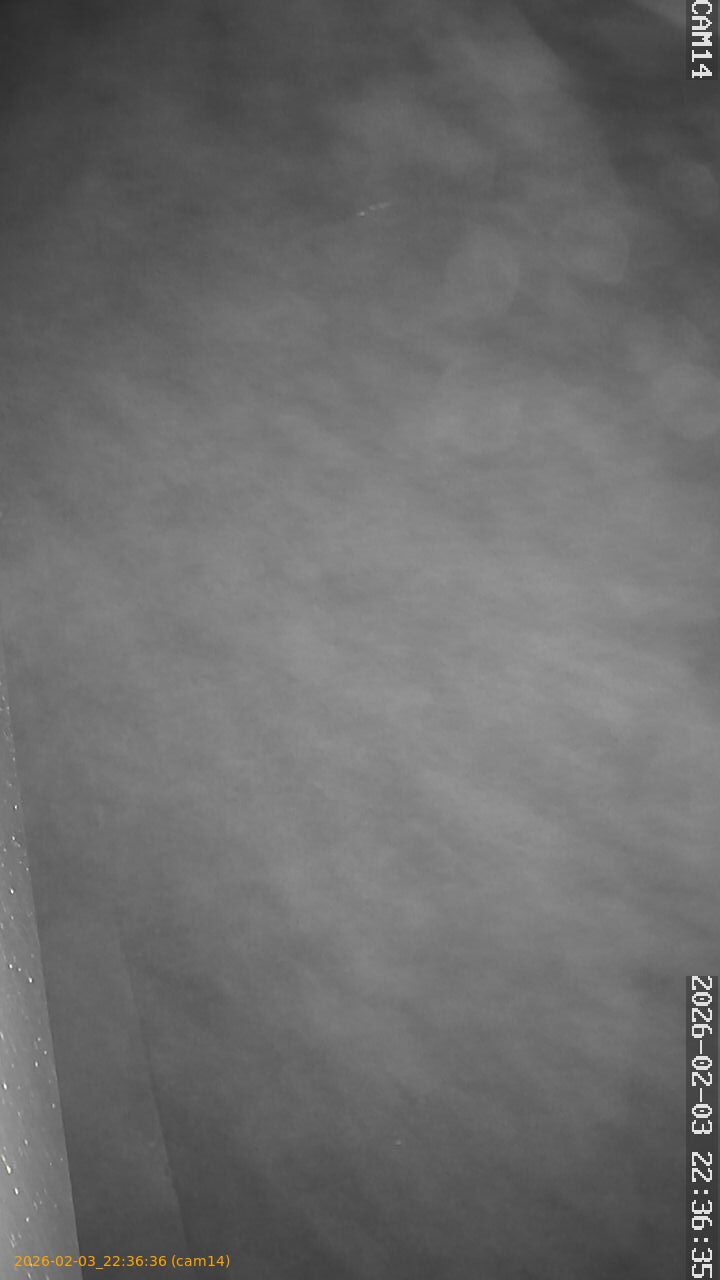 thumbnail_20260203223636