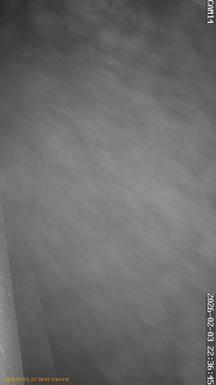 thumbnail_20260203223645