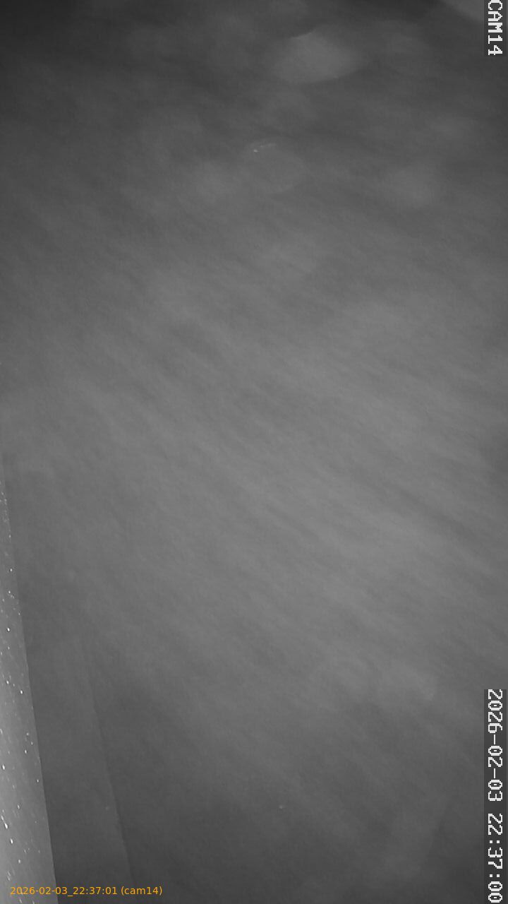 thumbnail_20260203223701