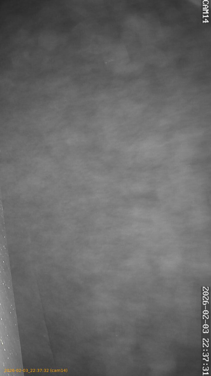 thumbnail_20260203223732